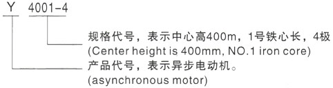 西安泰富西玛Y系列(H355-1000)高压内江三相异步电机型号说明